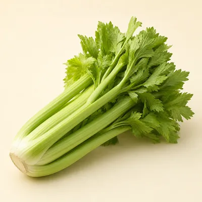 Celery