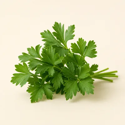 Parsley